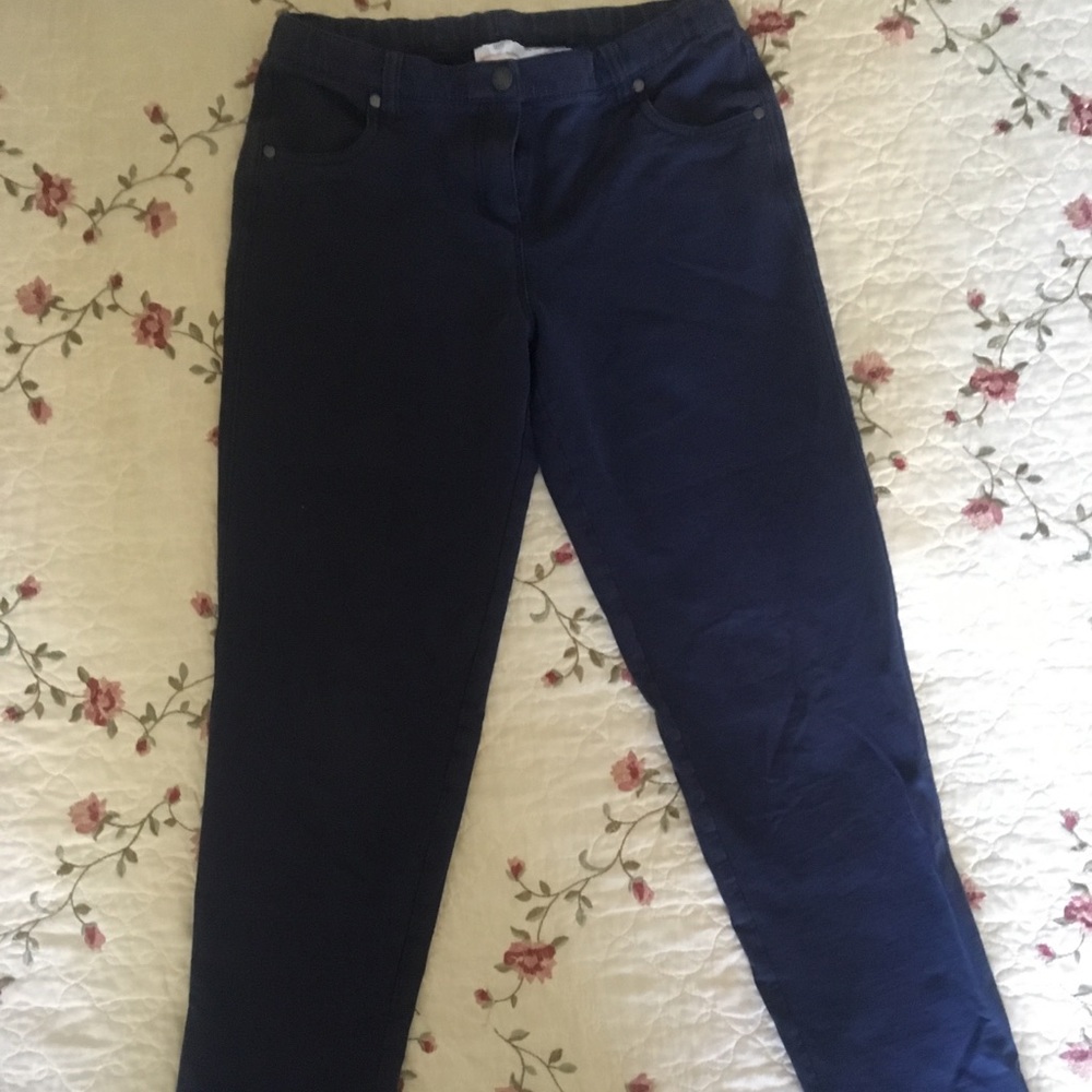 Hanna Andersson  Navy Jeggings Size 150 (12)